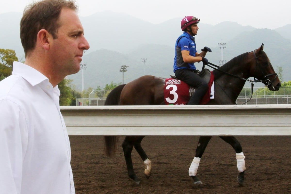 Trainer Charlie Appleby follows Blue Point off the track at Sha Tin on Friday. Photos: Kenneth Chan