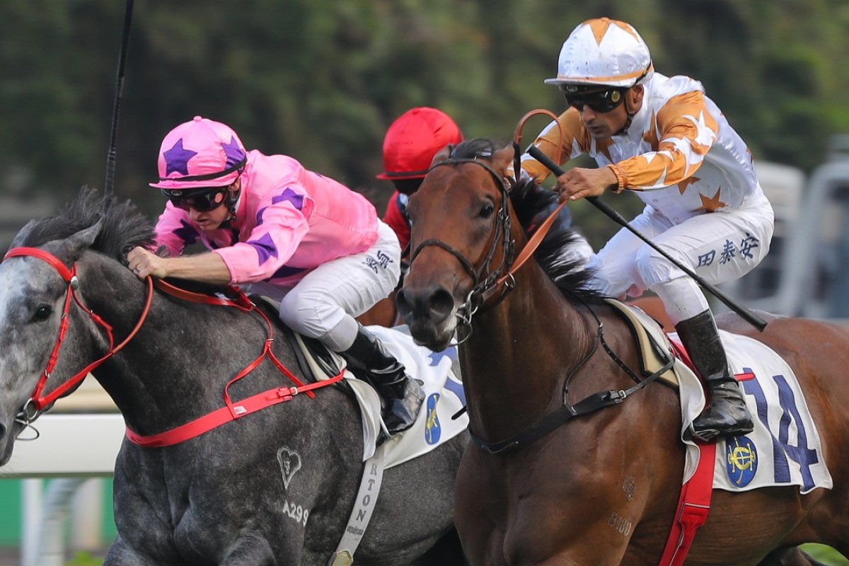 Wishful Thinker runs over the top of Hot King Prawn. Photo: Kenneth Chan