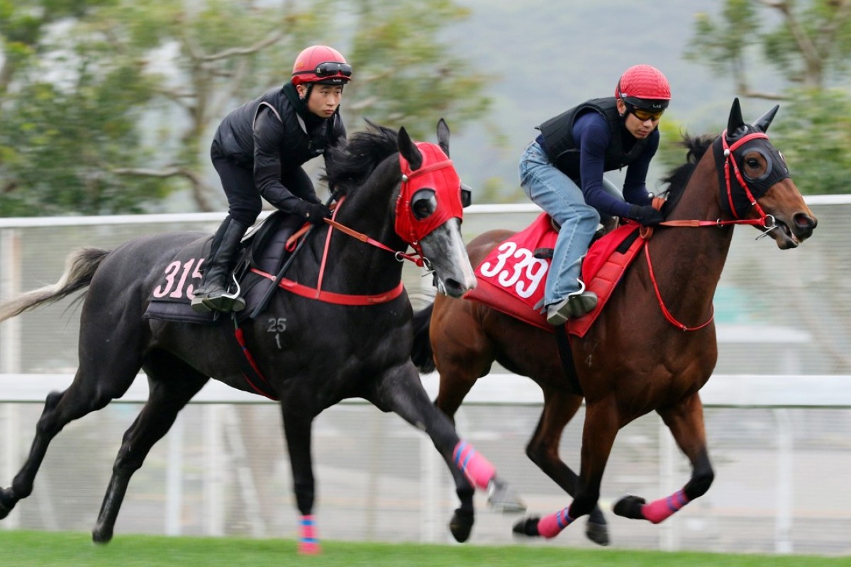 Villa Fionn (right) works with Happilababy in March. Photo: Kenneth Chan