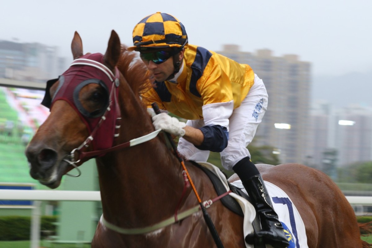 Styling City wins easily on April 15. Photos: Kenneth Chan