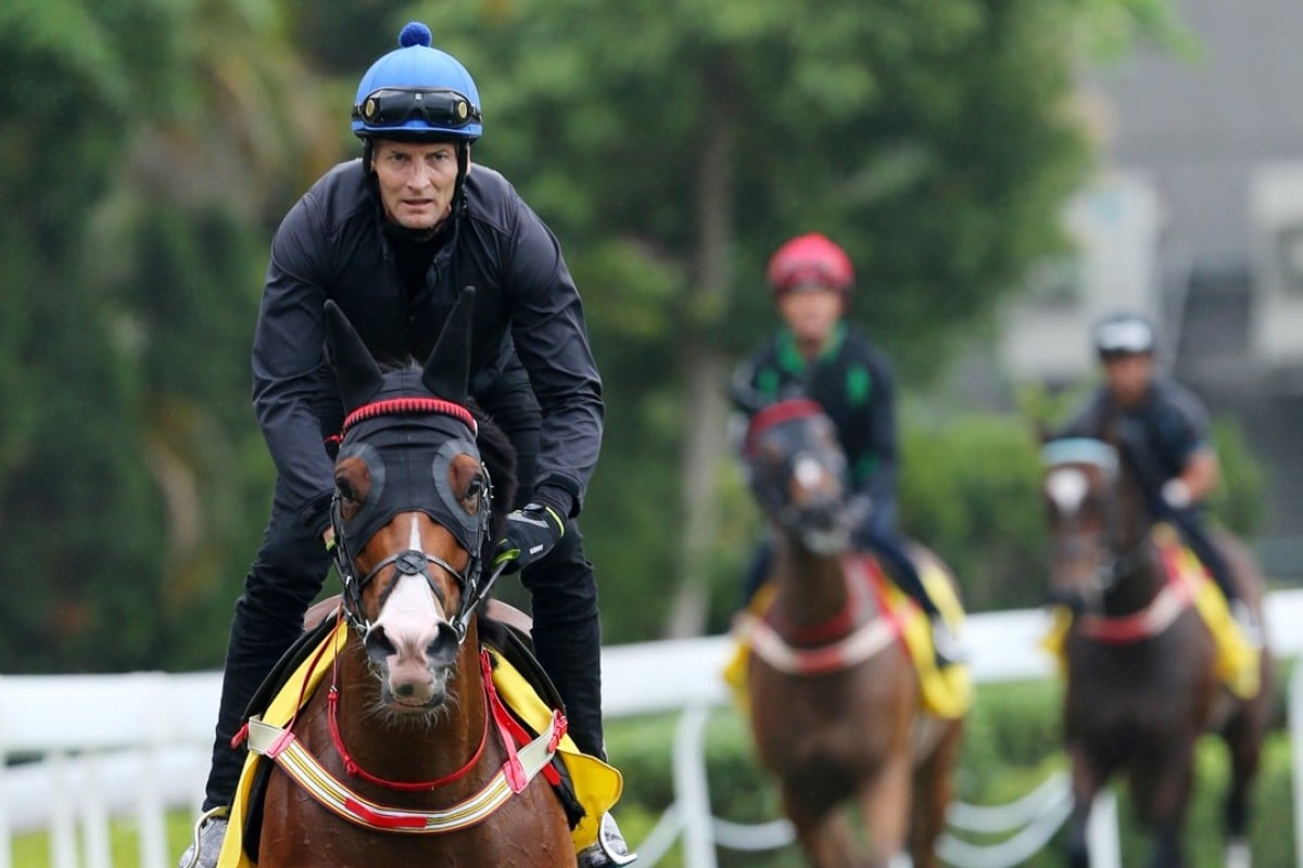 Victory Megastar (left) leads his stablemates out to work at Sha Tin on Thursday morning. Photos: Kenneth Chan