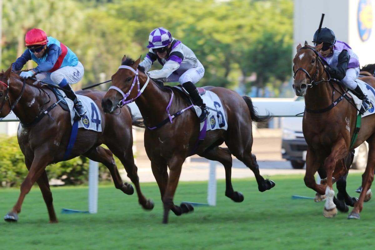 Attention (right) finishes third to Star Shine (left) at Sha Tin on Sunday. Photos: Kenneth Chan