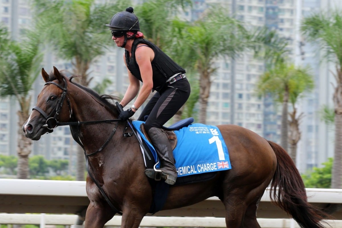 Chemical Charge works on the all-weather track at Sha Tin. Photos: Kenneth Chan
