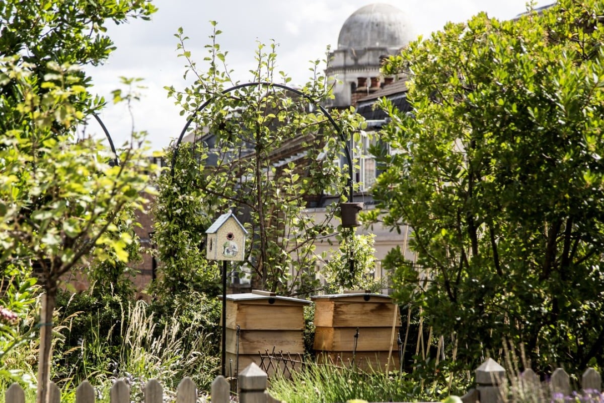 What Are Luxury Hotels Doing To Save The Environment Style London S Kit Kemp Designed Ham Yard Hotel Has Been Replacing Plastic Items With Plant