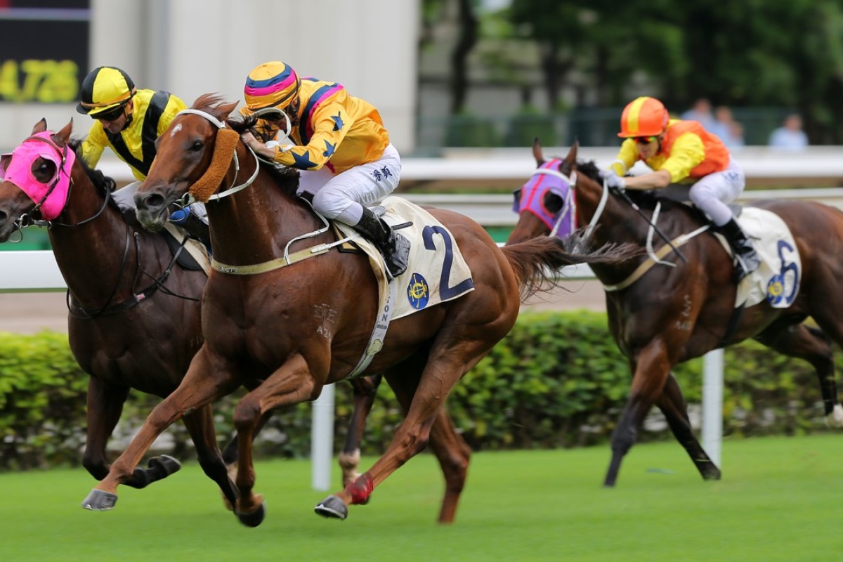 Winner’s Way takes out the HKSAR Chief Executive’s Cup at Sha Tin on Sunday. Photos: Kenneth Chan