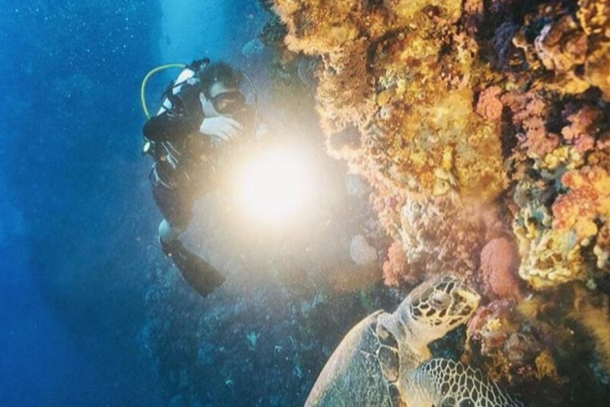 7 top diving sites in Asia that offer underwater thrills of a lifetime