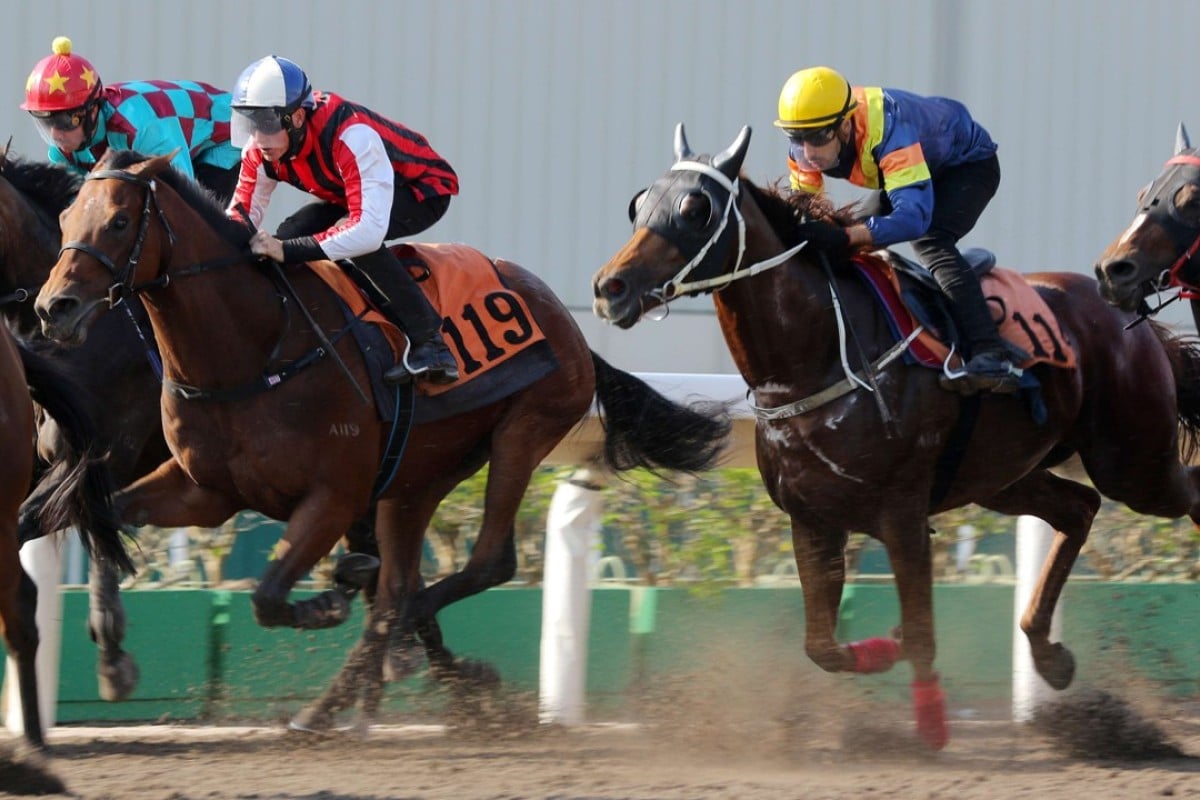 Nassa (left) hits the line nicely in a barrier trial at Sha Tin on Friday morning. Photos: Kenneth Chan