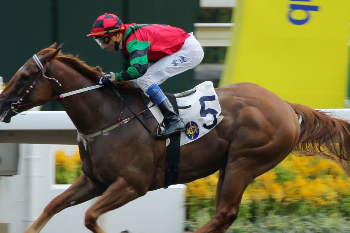 Just Not Listening wins the Class Four Boston Handicap (1,200m) at Sha Tin on Saturday. Photos: Kenneth Chan