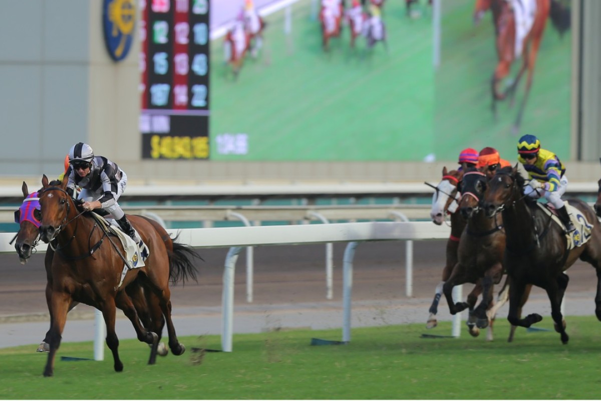 Little Giant runs away from his rivals on Monday. Photos: Kenneth Chan