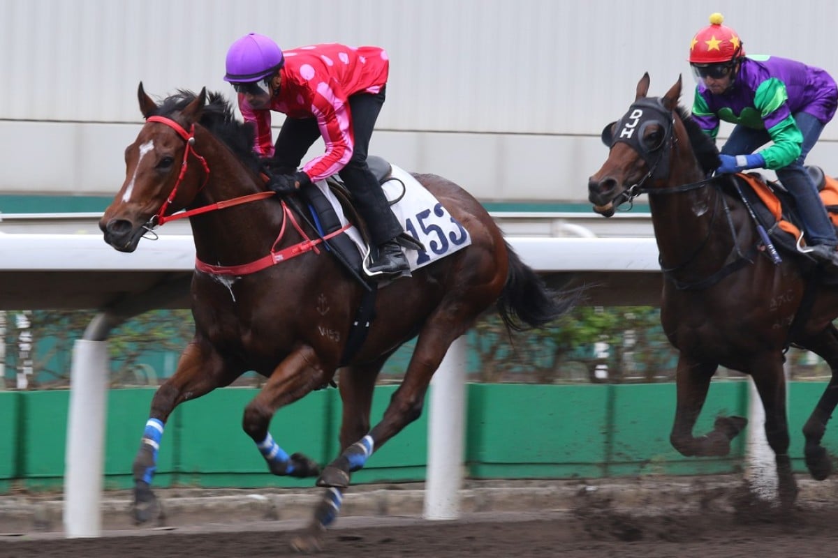 Karis Teetan guides Mr Stunning to victory in a trial at Sha Tin on Tuesday morning. Photos: Kenneth Chan