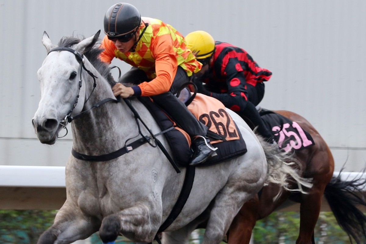 Derek Leung pushes out Pingwu Spark in a trial on Friday morning. Photos: Kenneth Chan