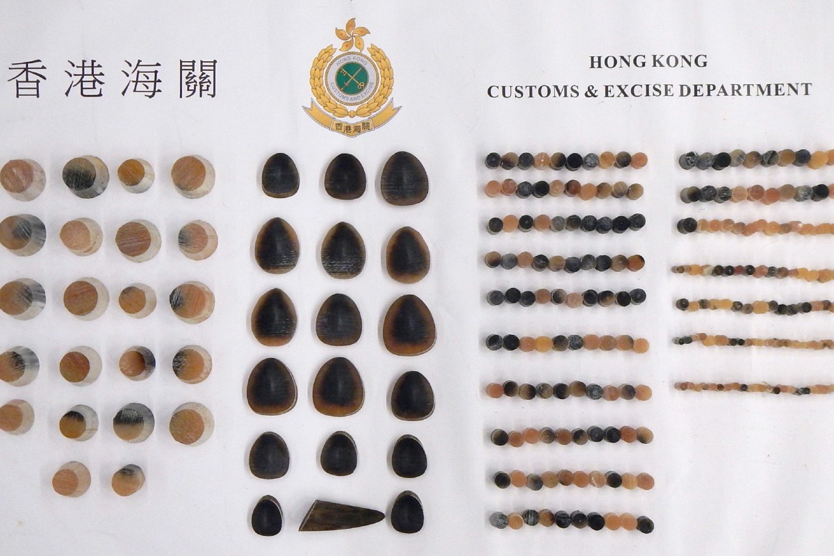 Customs seized about 3.1kg of rhino horn pieces from Wei Bin. Photo: ISD