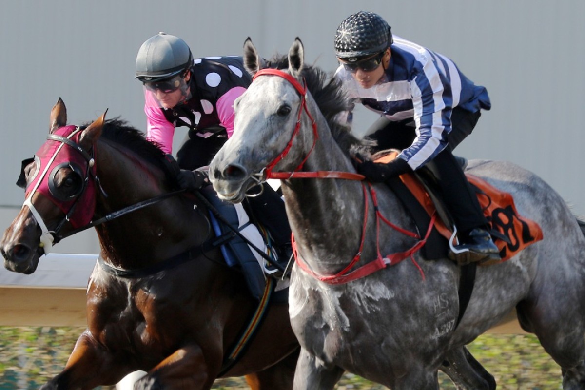 Zac Purton rides Beauty Generation (left) while Grant van Niekerk partners Fifty Fifty in a barrier trial. Photos: Kenneth Chan