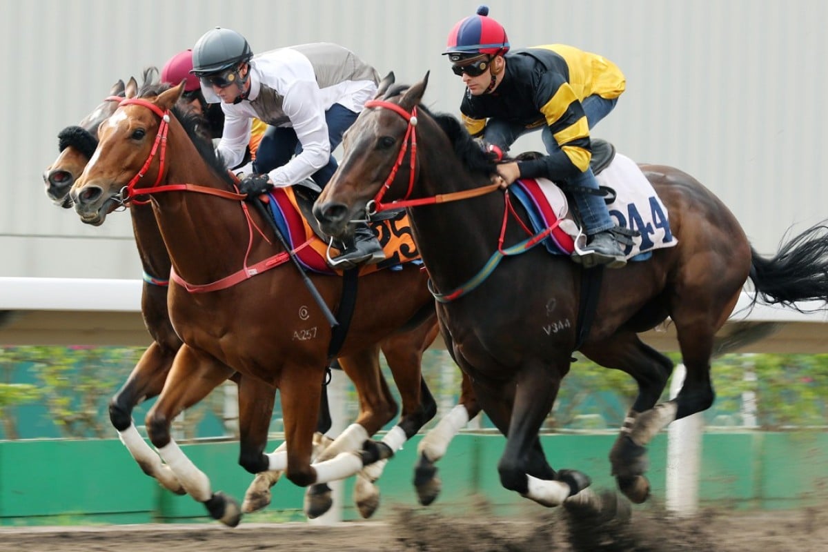 The John Size-trained D B Pin and Ivictory trial together in preparation for Sunday’s Group Two Jockey Club Sprint. Photos: Kenneth Chan