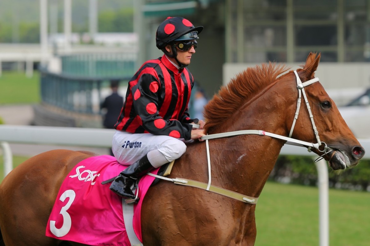 Jockey Zac Purton returns to the winners circle after winning on Time Warp in the Group Two Sa Sa Ladies’ Purse (1,800m). Photos: Kenneth Chan