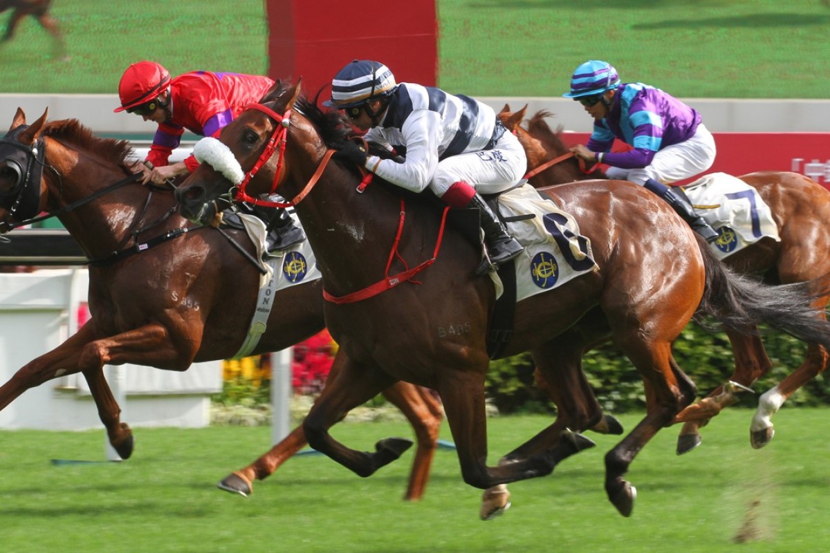 Harmony Victory (middle) beats Victory Boys (left) and Charity Go (right) at Sha Tin on Sunday. Photos: Kenneth Chan