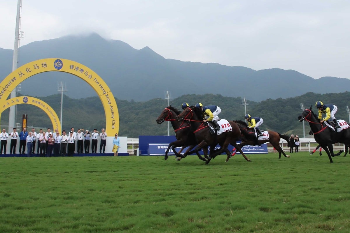 Horses gallop at the opening of the Hong Kong Jockey Club’s Conghua Racecourse. Photo: Kenneth Chan