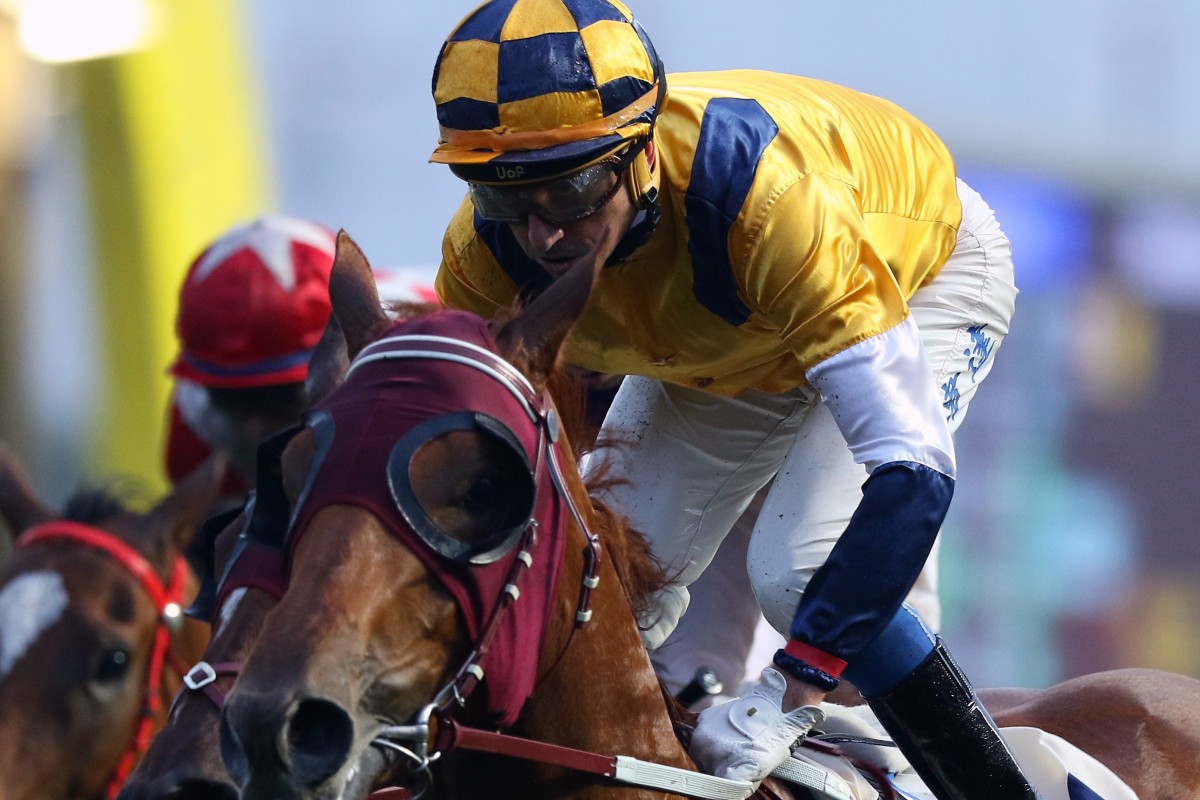 Douglas Whyte steers Styling City to an impressive win last month at Sha Tin. Photos: Kenneth Chan