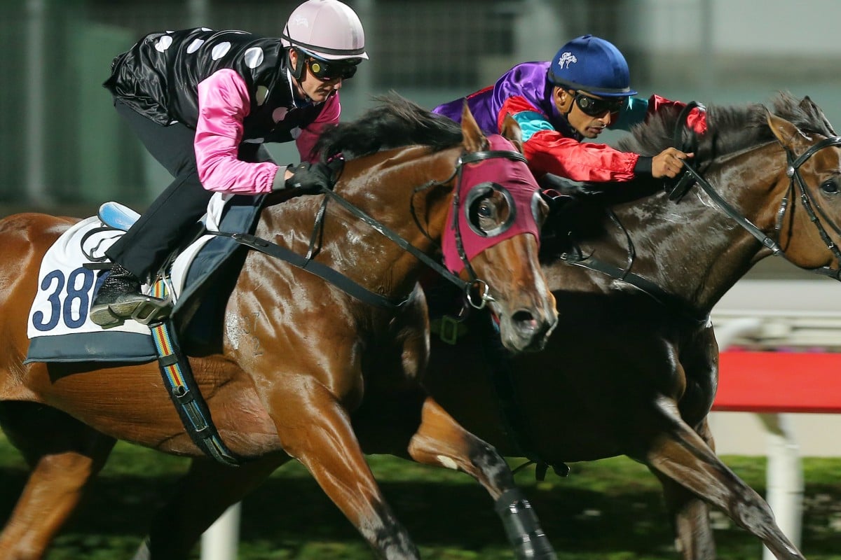Zac Purton (inside) sits quietly on Beauty Generation in Tuesday’s trial while Singapore Sling is pushed out to the line. Photos: Kenneth Chan