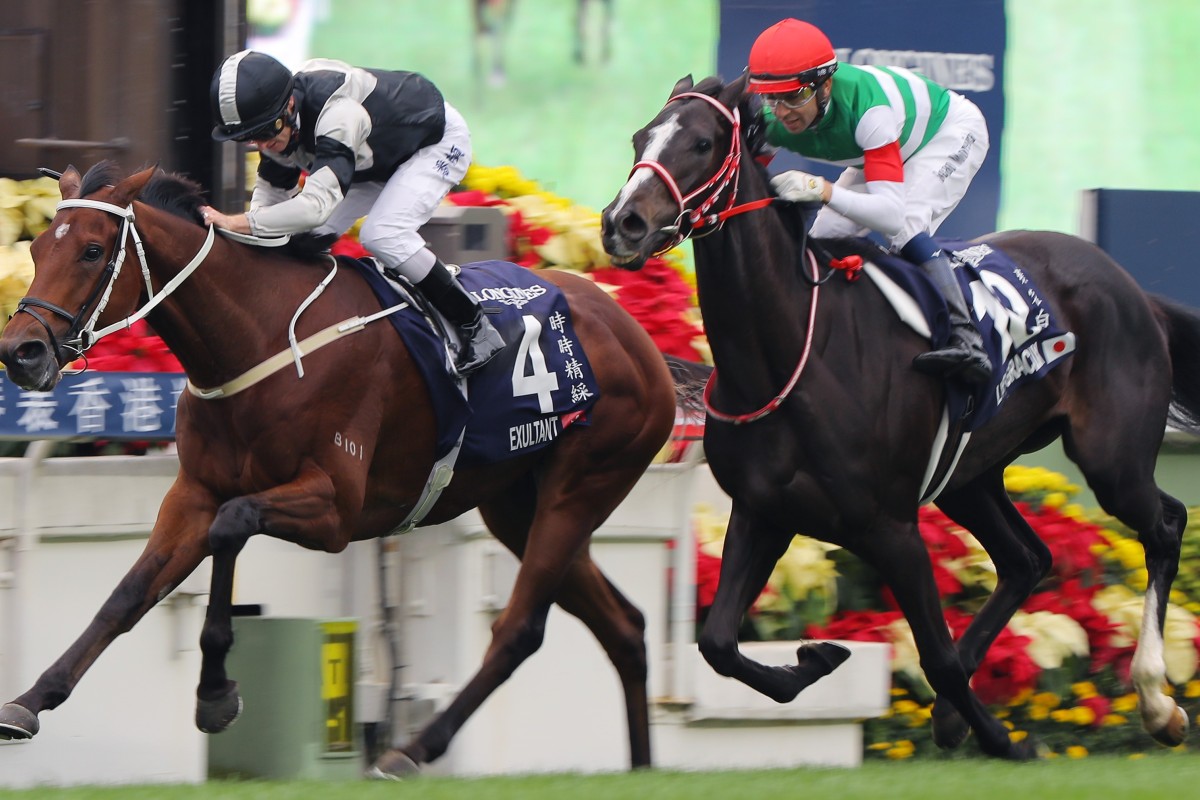 Exultant (left) takes out the Group One Hong Kong Vase in December. Photos: Kenneth Chan