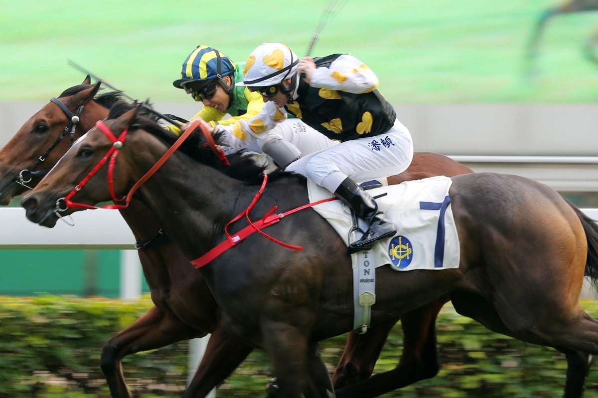 Matthew Poon lifts Speedy Dragon (left) to victory at Sha Tin on Saturday. Photos: Kenneth Chan