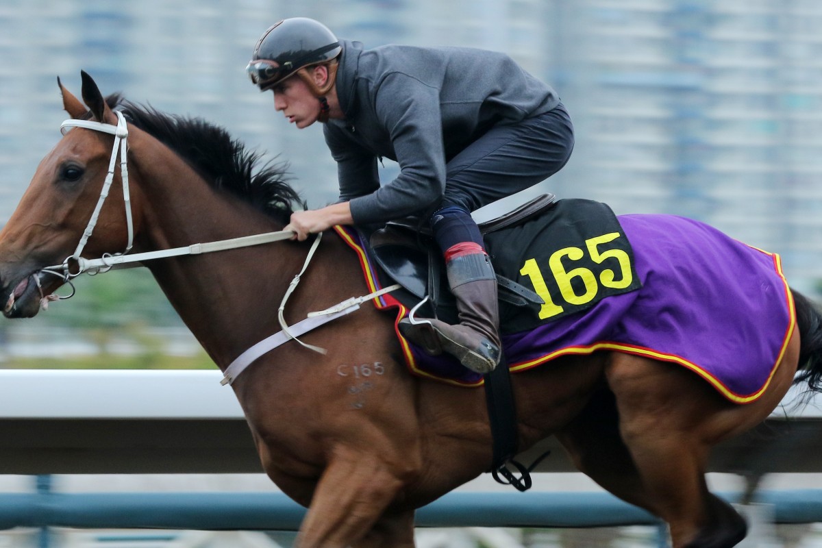 Helene Leadingstar gallops on the all-weather track at Sha Tin earlier this month. Photos: Kenneth Chan