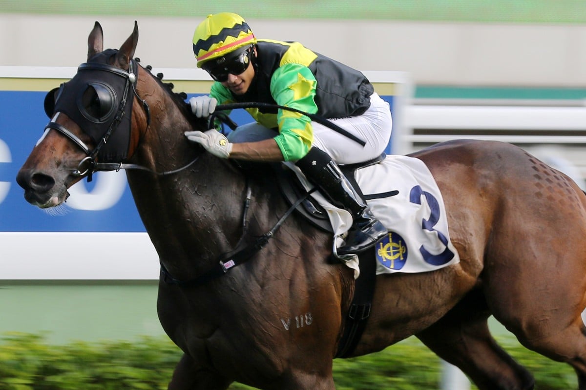 Gorgeous King wins in his only start this season. Photos: Kenneth Chan