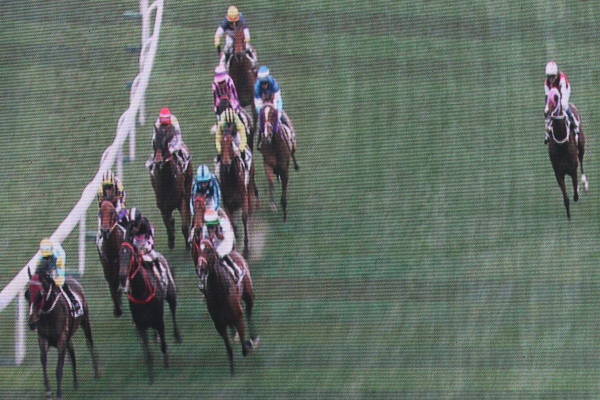 Multimillion (right) runs off the track despite the urgings of Douglas Whyte. Photos: Kenneth Chan