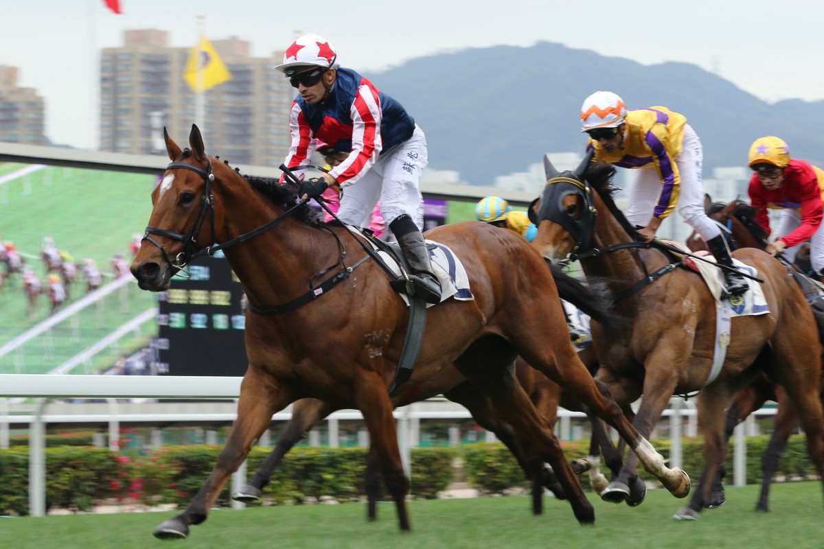 Refined Treasure returns to his best under Silvestre de Sousa at Sha Tin on Sunday. Photos: Kenneth Chan