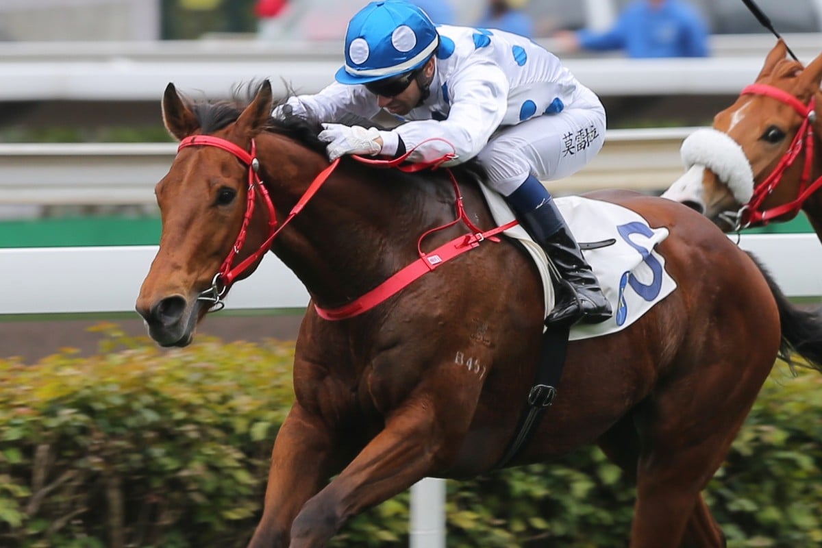 Enrichment stretches out to win over 2,000m last month under Joao Moreira. Photos: Kenneth Chan