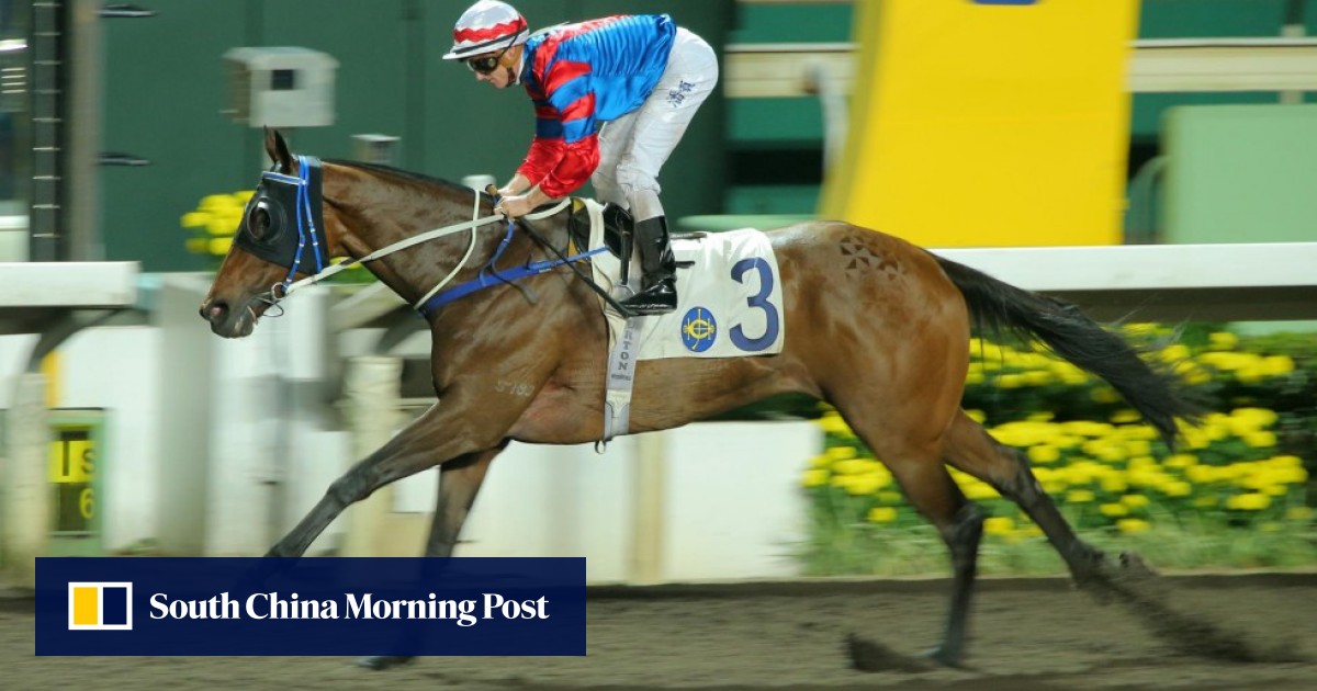 Dubai World Cup horse for sale? Caspar Fownes open to all offers for