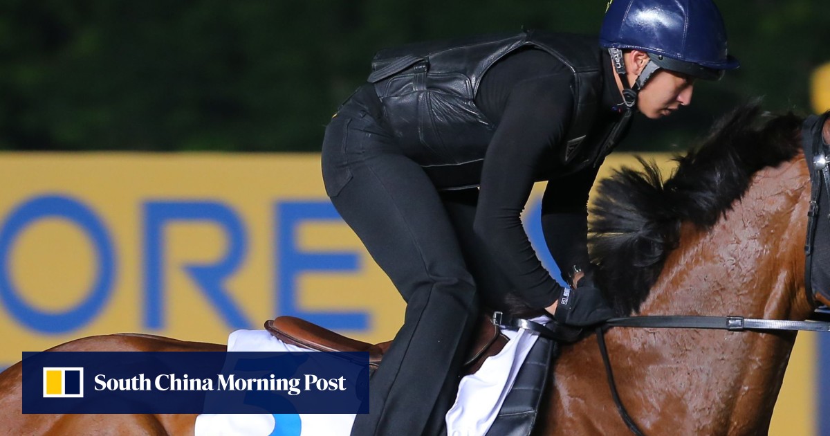 Hong Kong Dirt Stars On Wish List As Korean Racing Goes Global Hk Racing South China Morning Post Richie diehl in deshka landing. south china morning post