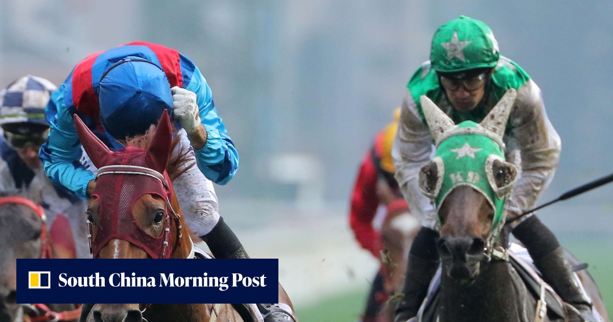 The future is now: Derby runners ready to fill the void at elite level ...