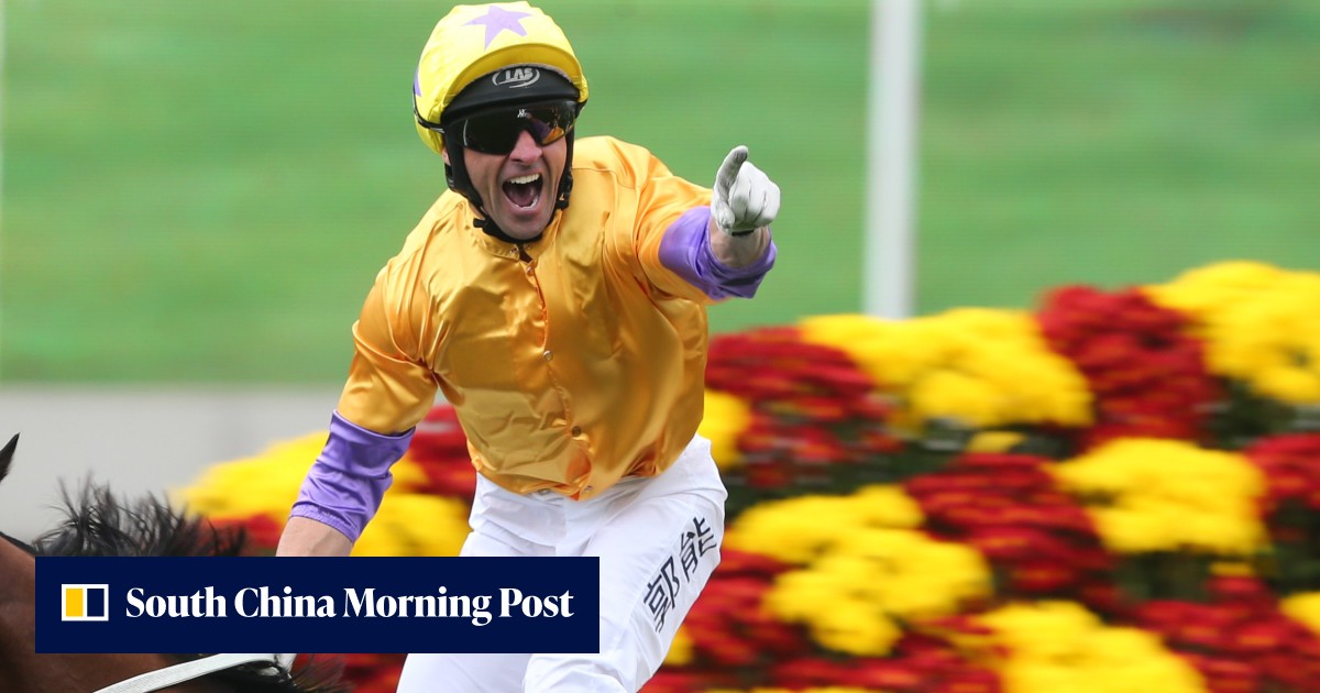 Neil Callan insists Peniaphobia is no one-trick pony ahead of Chairman ...