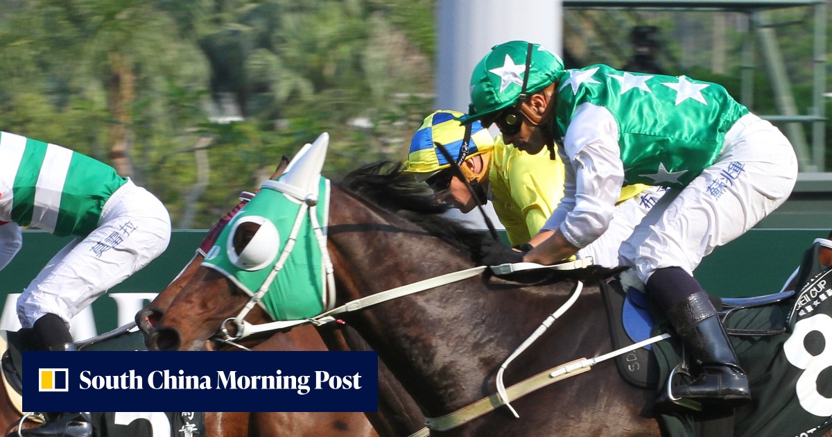 One more time: Pakistan Star to tackle Premier Plate in season finale ...