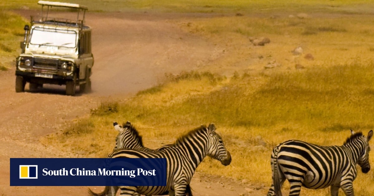 The good, bad and ugly sides to African safaris Post Magazine South