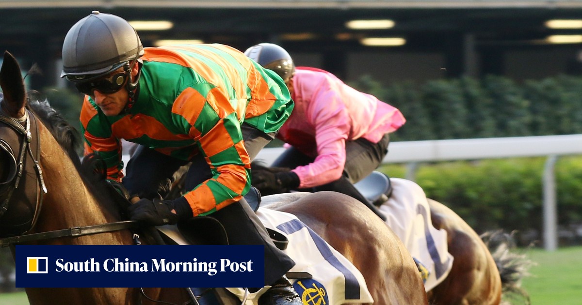 ‘Difficult’ colt Summer Passage to race on with no plans for the ...