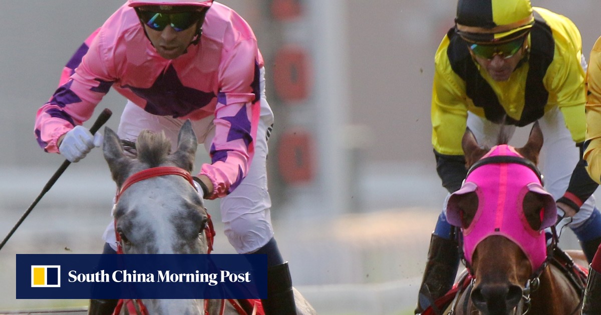 HKIR: John Size warns there is more to come from boom sprinter Hot King ...