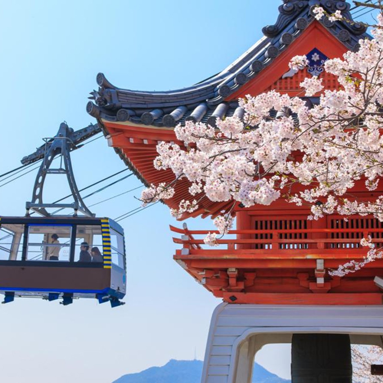 The Joys Of Spring A Different View Of Japan S Cherry