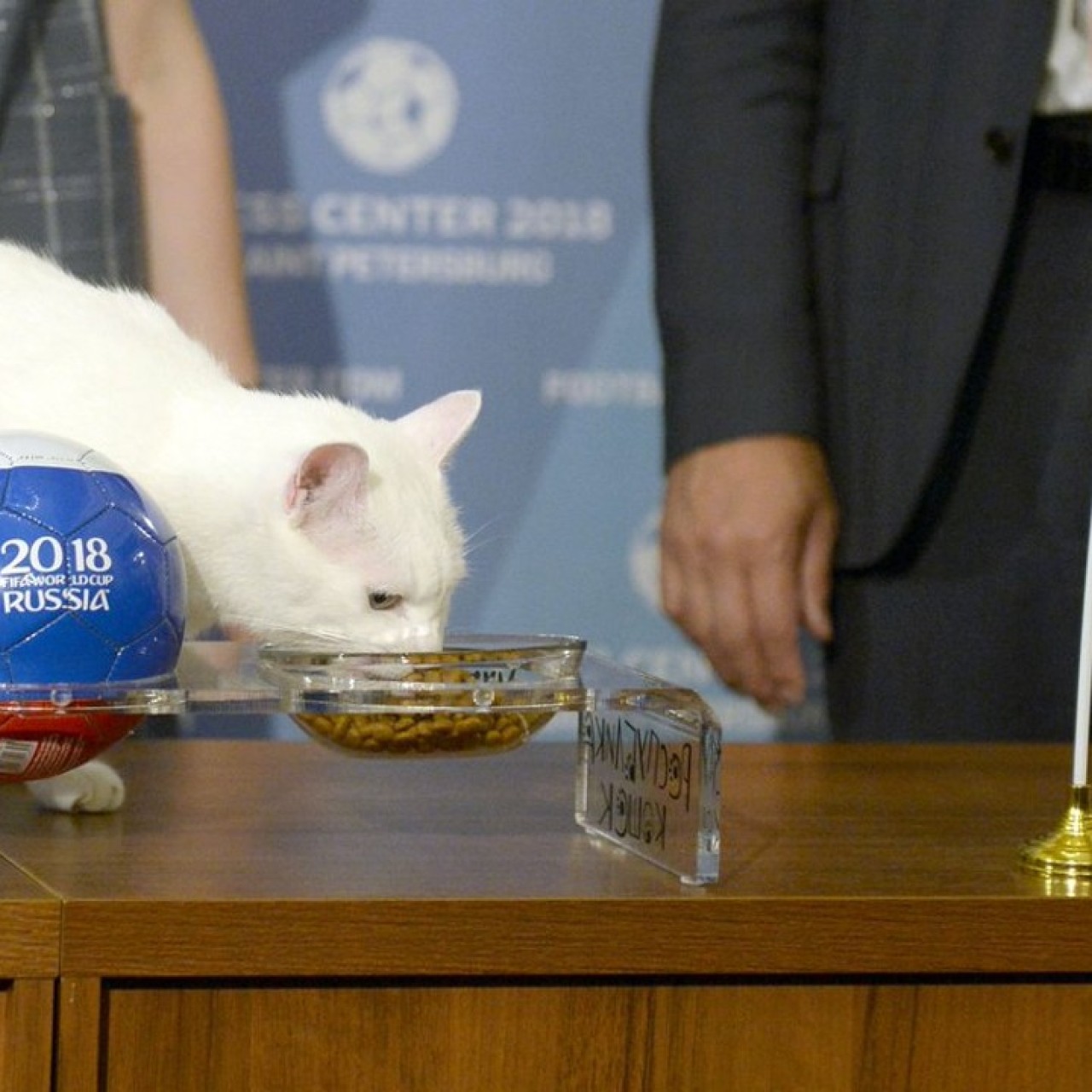 Seven Psychic Animals Said To Rightly Predict World Cup Results