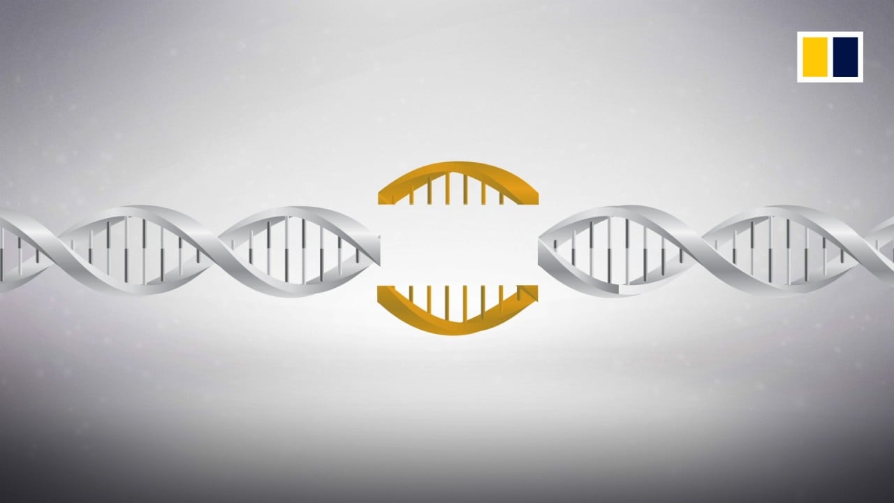 CRISPR/Cas9: a gene-editing tool with promise and peril